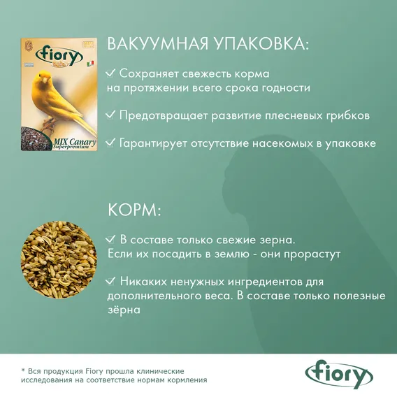 Product 6