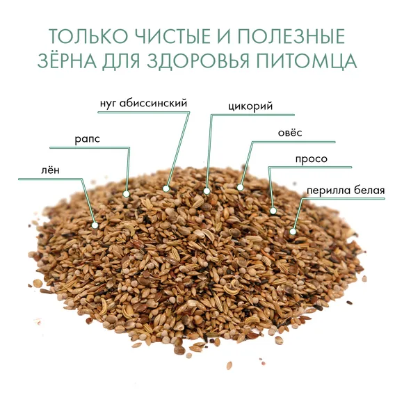 Product 7