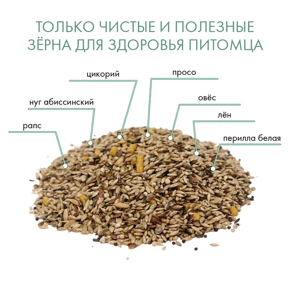 Product 5