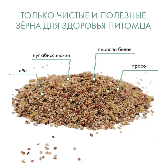 Product 5