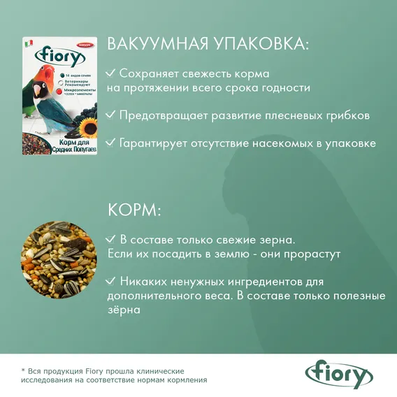 Product 6
