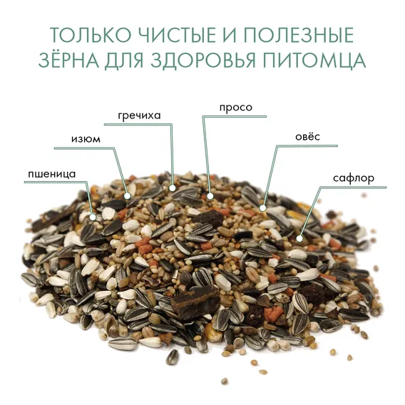 Product 7