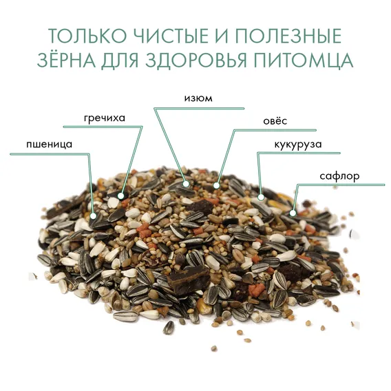 Product 5