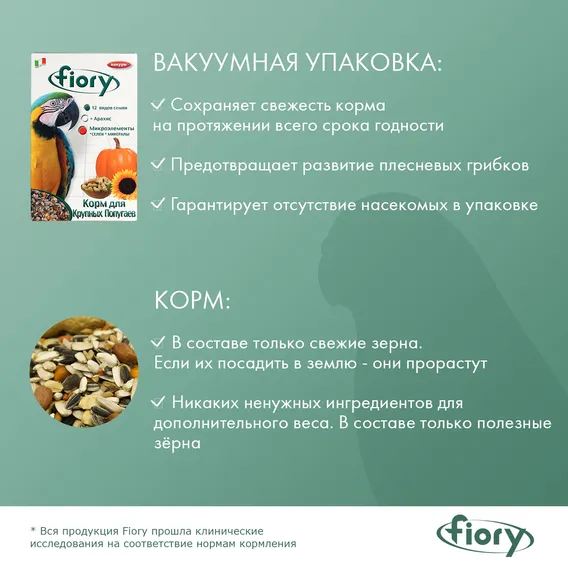 Product 6