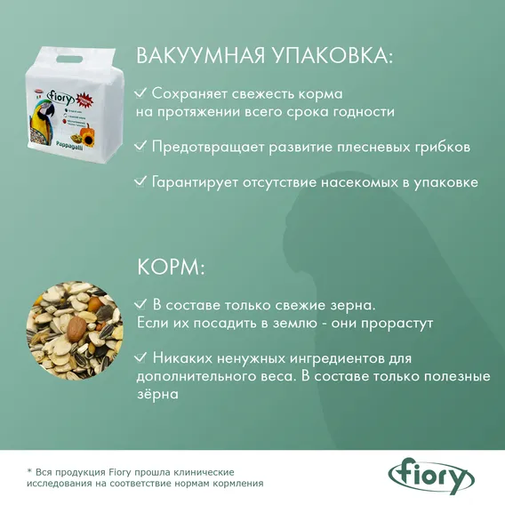 Product 6