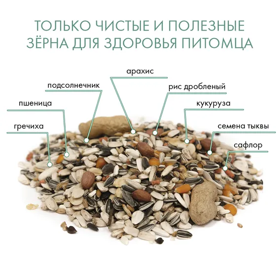Product 7