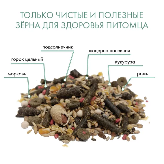 Product 5