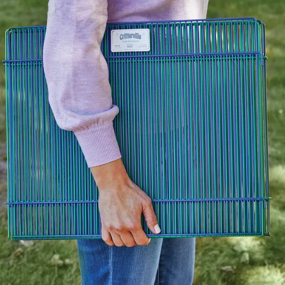 Product 4