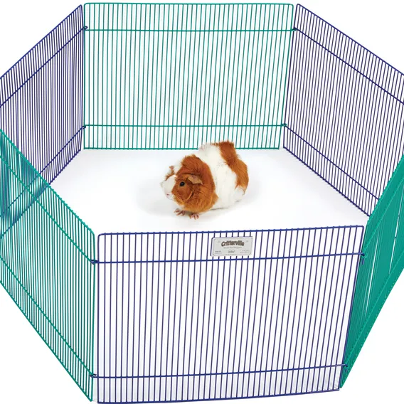 Product 6