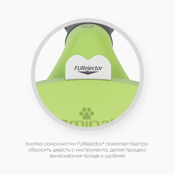Product 6