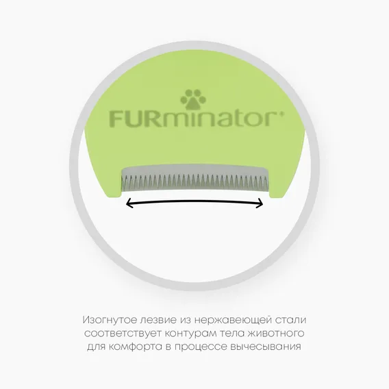 Product 7