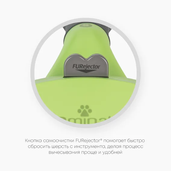 Product 6