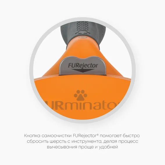 Product 6