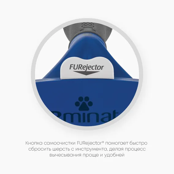 Product 6