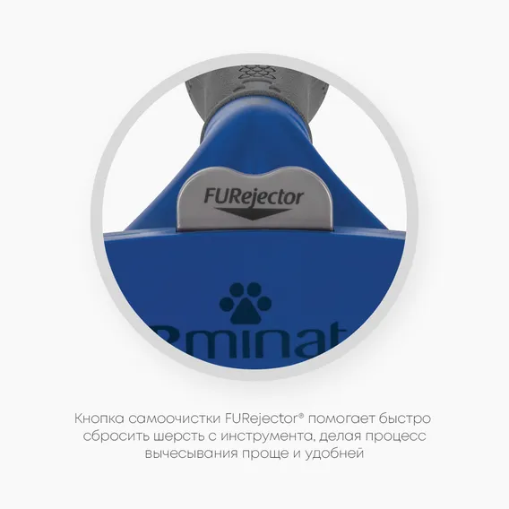 Product 6