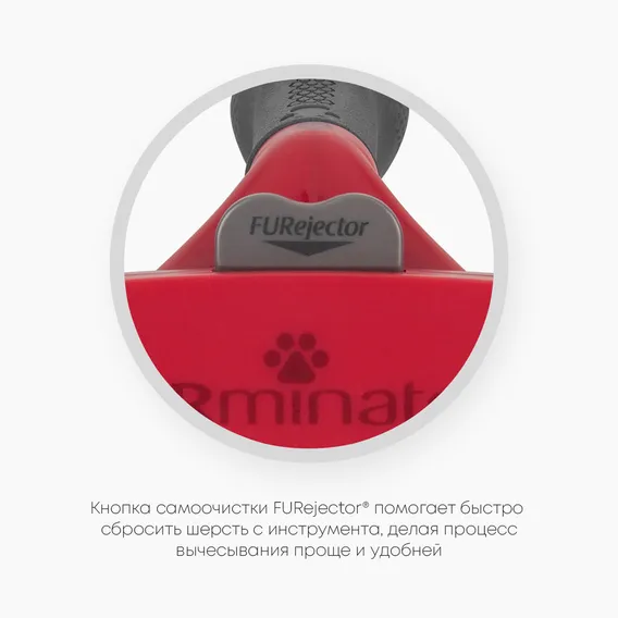 Product 6