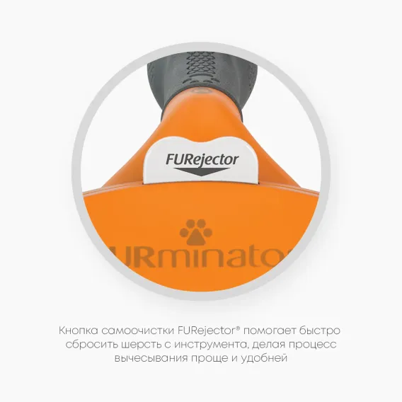 Product 6