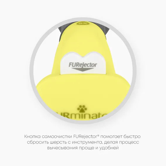 Product 6