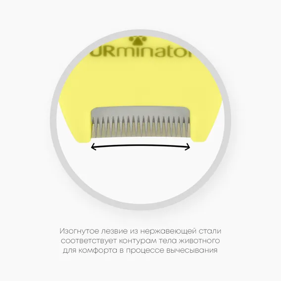 Product 7