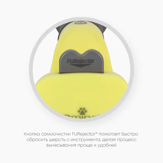 Product 6