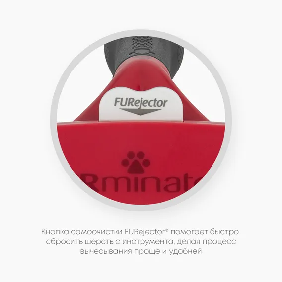 Product 6