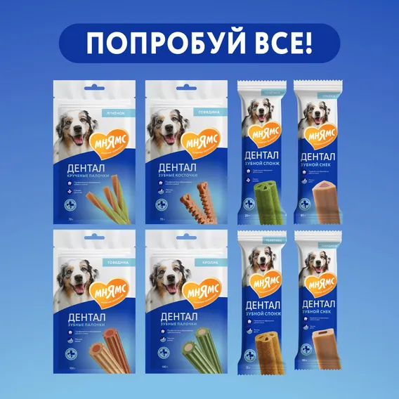 Product 11