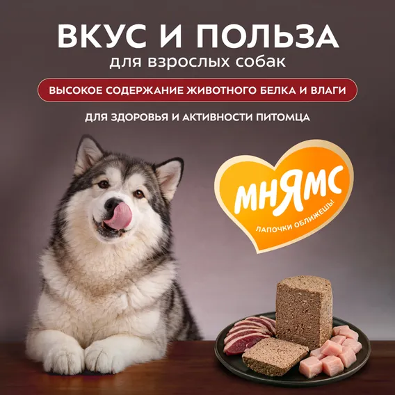 Product 5