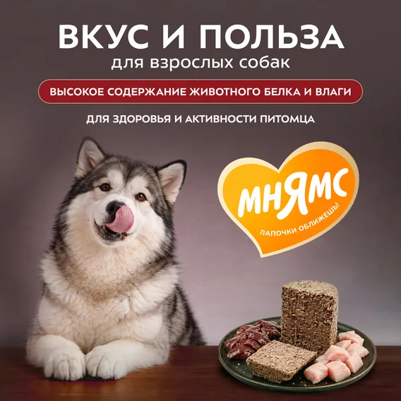 Product 5