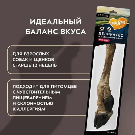 Product 10