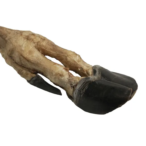 Product 4