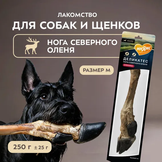 Product 5