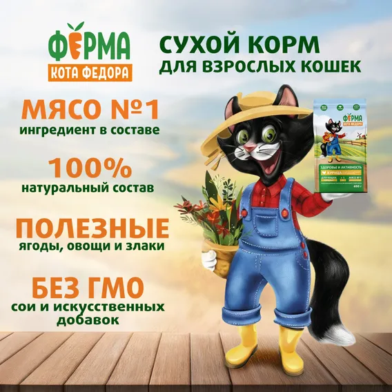 Product 4