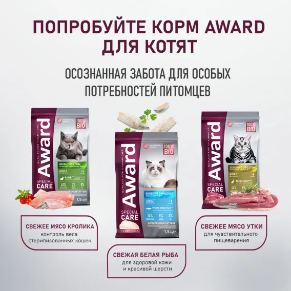 Product 10