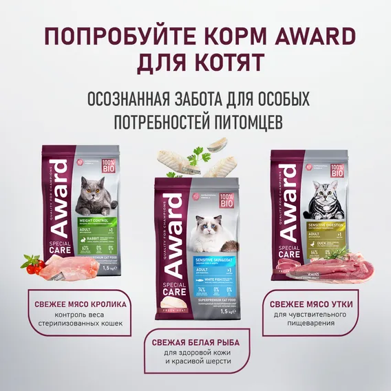 Product 10