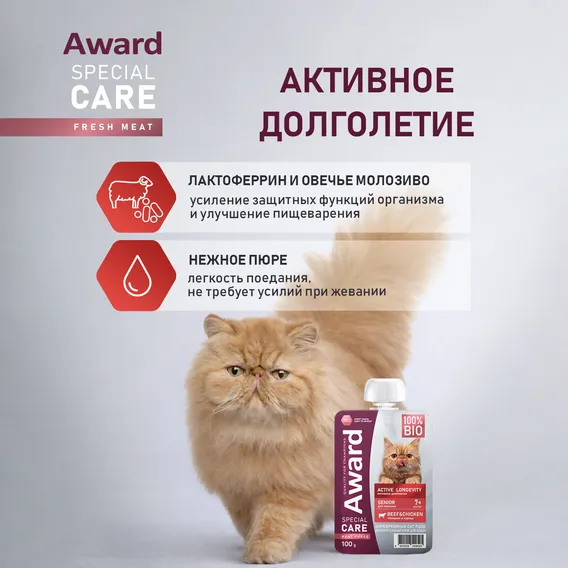 Product 6