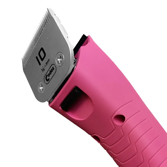 Product 10