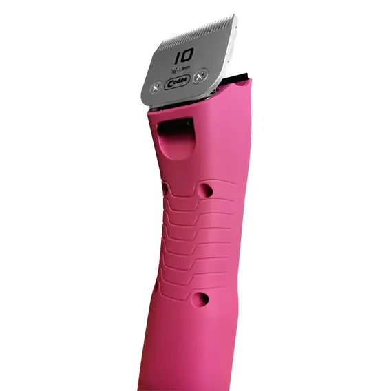 Product 5