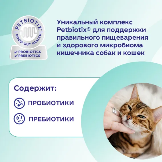 Product 7