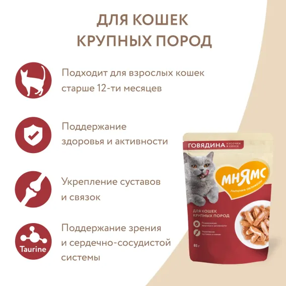 Product 6