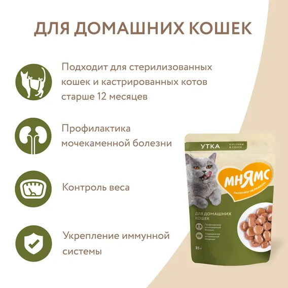 Product 6