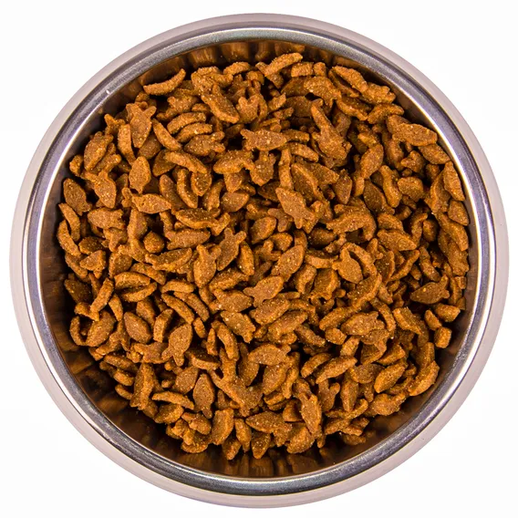 Product 6
