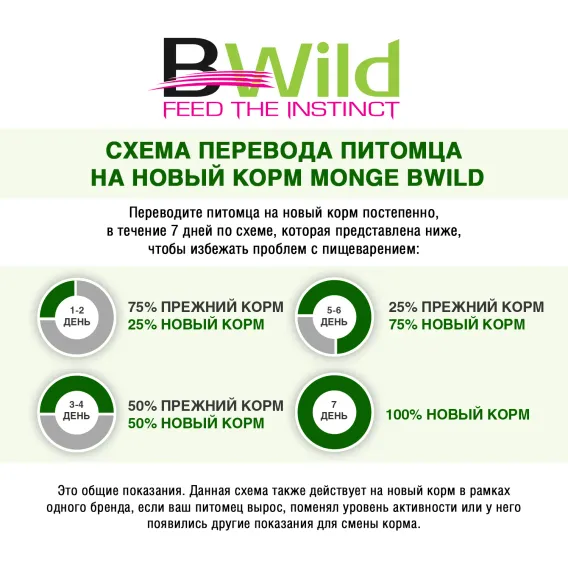 Product 6