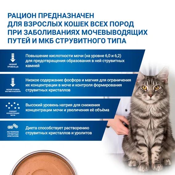 Product 7