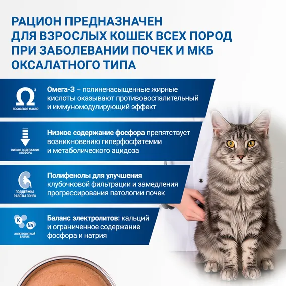 Product 7