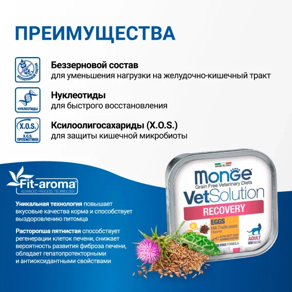 Product 6
