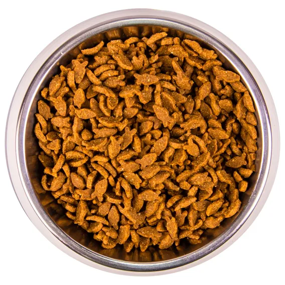 Product 6