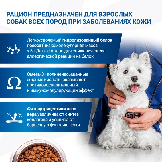 Product 6