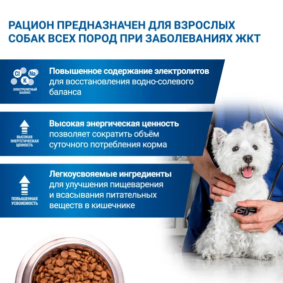 Product 6