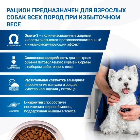 Product 6