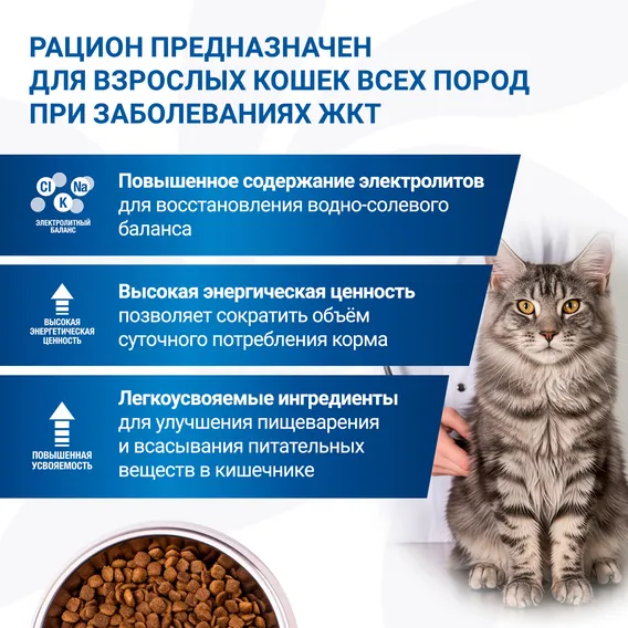 Product 6